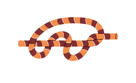 Double overhand stopper knot. Rope node closeup tutorial. Technique of marine bond for climbing. Hiking bundle, cord tie, cordage noose, loop. Flat isolated vector illustration on white backgroundのイラスト素材