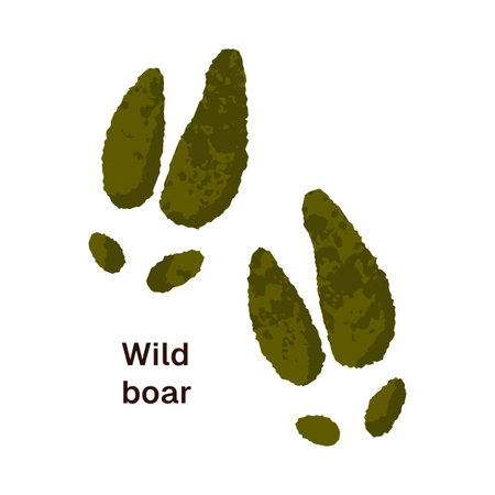 Icon of wild pig trails. Print of boar hooves with inscription. Traces of woodland animal paws on ground. Silhouettes of forest faunas tracks. Flat isolated vector illustration on white backgroundのイラスト素材