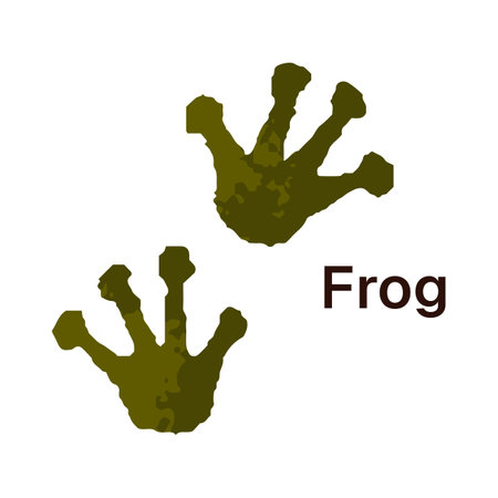 Trails of wild frog with inscription. Icon of toad traces. Print of amphibian webbed paws on ground. Silhouettes of wetland animals tracks. Flat isolated vector illustration on white backgroundのイラスト素材
