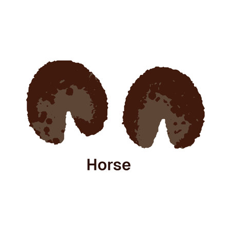 Traces of horse hooves. Icon of wild or domestic animal tracks with inscription. Print of paws, footprint, trails, foot silhouettes on ground. Flat isolated vector illustration on white backgroundのイラスト素材