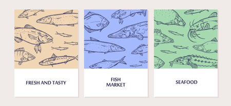Templates for cards for seafood market set. Designs of posters with outline hand drawn patterns of different species of sea fishes. Retro print of salmon, sturgeon, pike. Flat vector illustrationsのイラスト素材