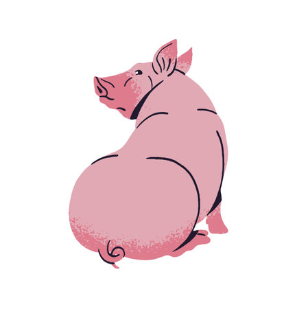Cute pink domestic pig sits, relaxes at barnyard. Funny fat swine, livestock, farm animal of ranch. Happy farming pet of country. Homestead fauna. Flat isolated vector illustration on white backgroundのイラスト素材