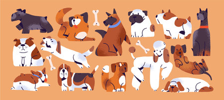 Set of different happy dogs. Cute puppies of various breeds: bulldog, dachshund, poodle. Amusing pups have fun, play, sit and sleep. Adorable pets, domestic animals. Flat isolated vector illustrationsのイラスト素材