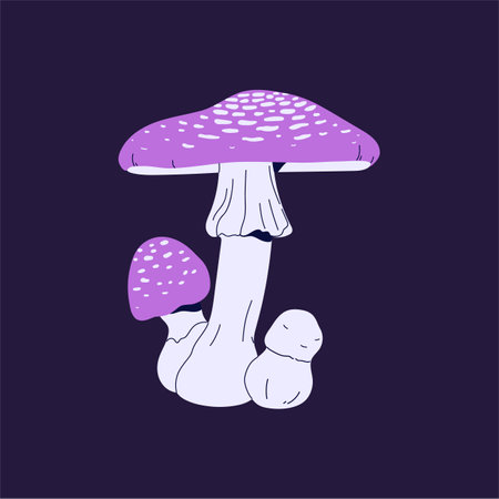 Toxic purple amanita icon. Hallucinogenic fly agaric with violet caps. Fairy poisonous mushroom, magic forest fungus. Psychedelic boletus, woodland inedible bolete. Flat isolated vector illustrationのイラスト素材