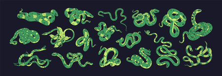 Abstract green snakes set. Different venomous serpents and exotic boas. Poisonous vipers, cobras and...