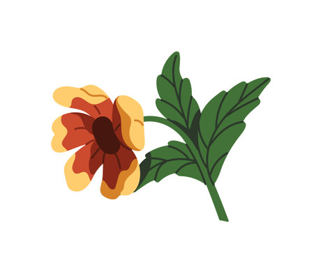 Cute branch of anemone. Beautiful big flower with green leaves. Gentle wildflower with foliage. Bloom garden or meadow plant. Flora, blossom nature. Flat isolated vector illustration on whiteのイラスト素材