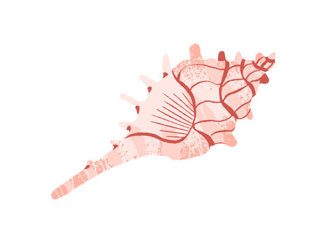 Ocean sea shell with spiral shape. Exotic coiled seashell of mollusk, tropical whelks, clam. Pink horse conch. Decoration from beach. Flat isolated drawing vector illustration on white backgroundのイラスト素材