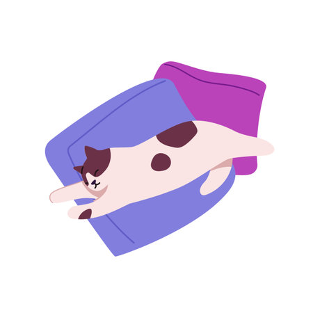 Cute asleep cat stretching, spreads on bed. Tired kitten lying, napping on pillows. Adorable kitty sleeps, relaxes, has a rest on cushions. Flat isolated vector illustration on white backgroundのイラスト素材