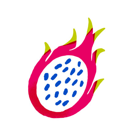 Icon of half a dragon fruit in doodle style. Piece of fresh pitaya with seeds. Pink pitahaya, cut dragonfruit. Ripe tropical food. Flat isolated hand drawn vector illustration on white backgroundのイラスト素材