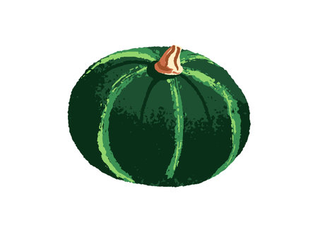 Green pumpkin, butternut squash, watermelon icon. Fresh raw fruit or vegetable, gourd, pumkin. Healthy food, farm harvest, agriculture crop. Flat isolated hand drawn vector illustration on whiteのイラスト素材