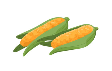 Ripe ears of corn with green leaves. Icon of raw maize cobs. Organic vegetables with natural grains, healthy food, eating. Agriculture crop, farm harvest. Flat isolated vector illustration on whiteのイラスト素材