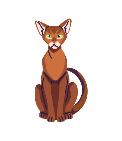 Cute kitty of Abyssinian breed sits. Abys cat with ruddy coat relaxes. Happy kitten with adorable muzzle has a rest. Funny pet, domestic animal. Flat isolated vector illustration on white backgroundのイラスト素材