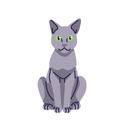 Cute Russian Blue cat sits front view. Funny kitty with gray color of coat relaxes. Happy grey kitten. Adorable pet, domestic animal has a rest. Flat isolated vector illustration on white backgroundのイラスト素材