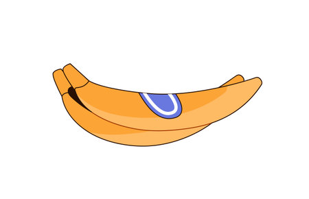 Ripe bunch of banana icon. Tropical fruit with yellow peel for healthy eating. Natural exotic food, snack. Organic dessert with vitamins. Flat isolated vector illustration on white backgroundのイラスト素材