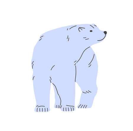 Big white bear smells air with nose on the go. Cute furry polar animal walks. Adorable arctic beast strolls. Amusing inhabitant of North Pole, Antarctica steps. Flat isolated vector illustrationのイラスト素材
