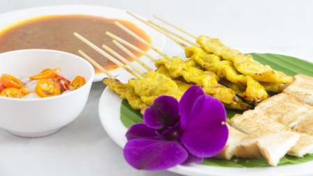 Grilled Pork Satay with Peanut Sauce and Vinegarの写真素材