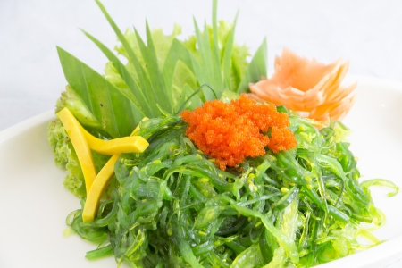 Sushi seaweedの写真素材