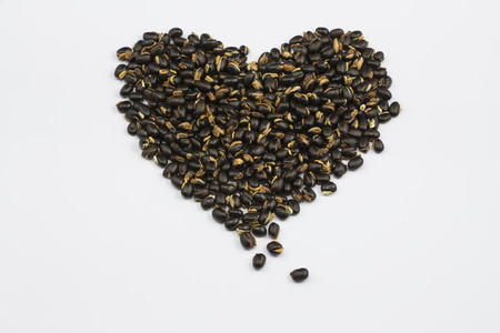 Mucuna bracteata seed Effectively prevent soil erosionの写真素材