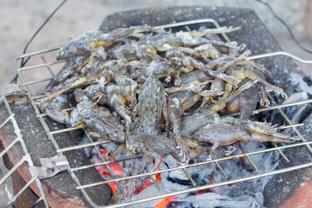 Grilled green frogの写真素材