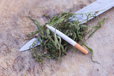 fresh marijuana plant bud with crystals on grunge wooden deskの写真素材