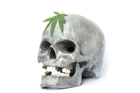 Skull and Green Cannabis Leafの写真素材