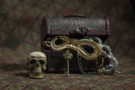 Still Life skull and small box with treasures on a fabric backgroundの写真素材