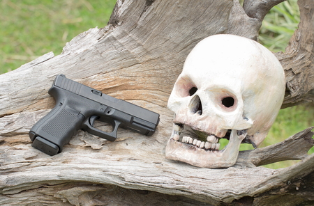 human skull model and gun on logの写真素材