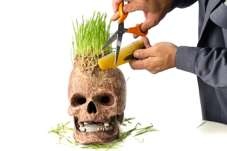 Grow green wheat seedling on head of skull, Skull in Barber shopの写真素材