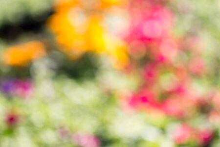 abstract nature blurred colors backgroundの写真素材