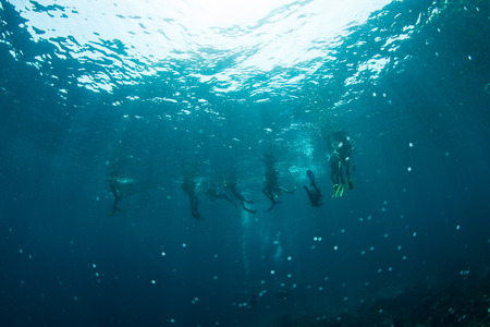 Group of Scuba Divers underwater silhouettes against sunの写真素材