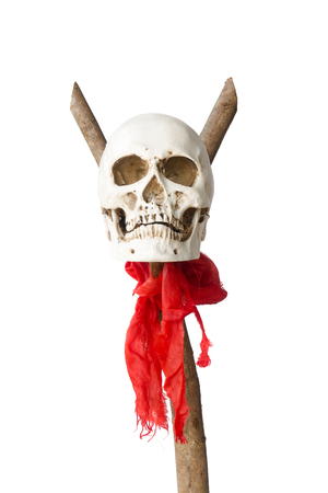 Human skull on wood stick and red fabric, halloween. isolated on white background.の写真素材