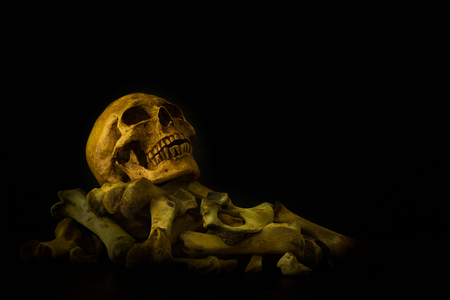 The human skull and pile of bloody bones on dark background /, Still life style,の写真素材