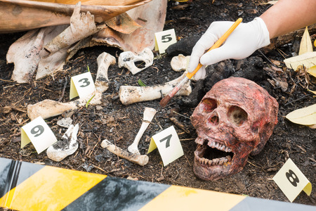 Group of evidence marker number Skeleton partially buried in dirt  in crime scene investigationの写真素材