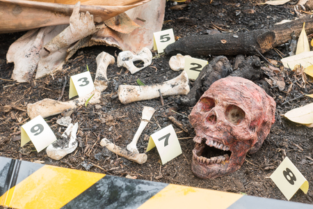 Group of evidence marker number Skeleton partially buried in dirt  in crime scene investigationの写真素材
