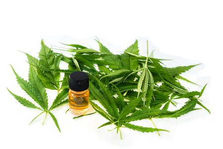 marijuana green leaf, cannabis CSB oil hemp extracts in jars,の写真素材