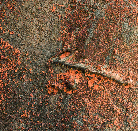 Rustic old metal background and rust texture