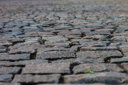 alley in the Park paved with granite stones. stone blocksの写真素材
