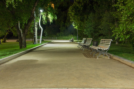 Landscape night city Park in the summer without people