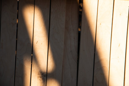 Wall of vertical old boards. Sun shadow falling on old boards.