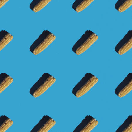 bright flat seamless pattern of peeled corn on a blue backgroundの写真素材
