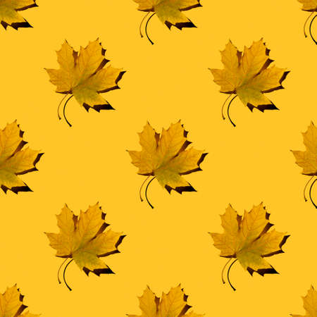 bright flat seamless pattern of peeled bananas on a blue backgroundの写真素材