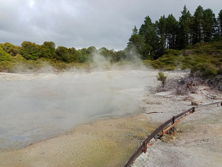 Rotorua Park in New Zealand in cloudy weather, 2024