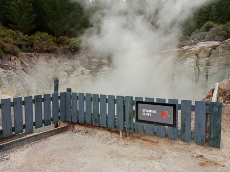 Rotorua Park in New Zealand in cloudy weather, 2024の写真素材