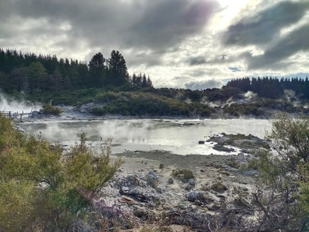Rotorua Park in New Zealand in cloudy weather, 2024