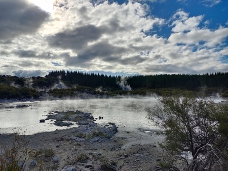 Rotorua Park in New Zealand in cloudy weather, 2024