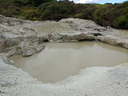 Rotorua Park in New Zealand in cloudy weather, 2024の写真素材