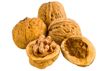 Group of walnuts isolated on the white