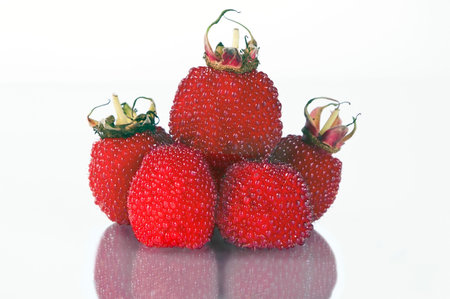 Set of raspberry isolated on a white background with reflection