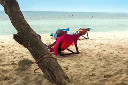 Sandy beach with deckchairs standing under a treeの写真素材