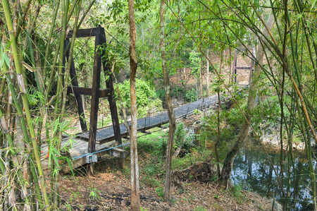 bridge over the river in dense jungleの写真素材